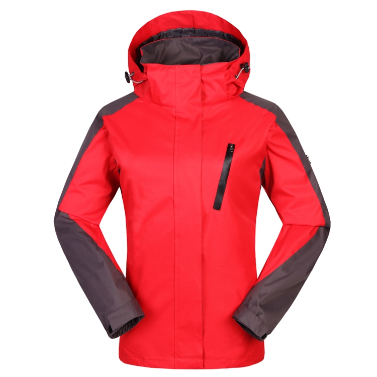 ���������_�h��